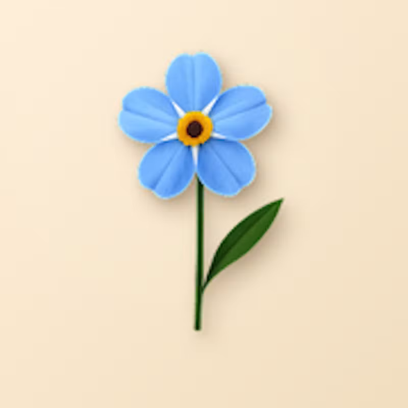 Blume.codes