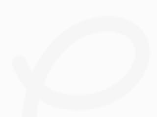 Payno—Smart Banking Platform Design
