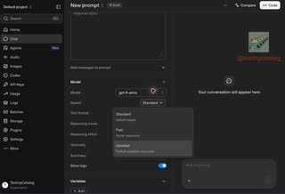 OpenAI is preparing to expand its Ultrafast API to more users after OpenAI DevDay. 

> A new Speed selector with Fast, S