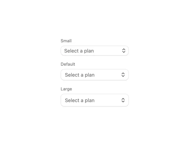 Basic Select