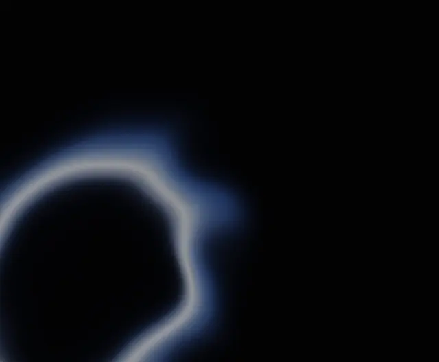 Portal Field